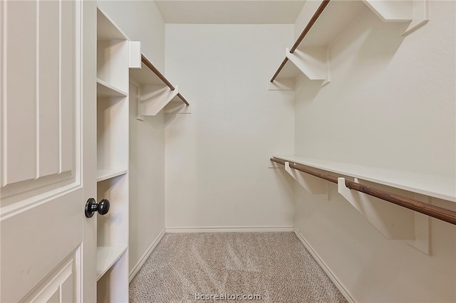 walk in closet with carpet
