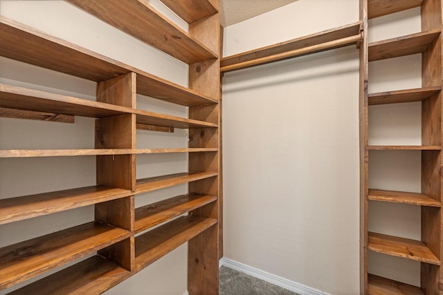 walk in closet with carpet floors