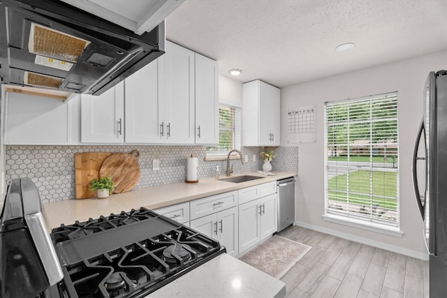 kitchen featuring a sink, tasteful backsplash, ventilation hood, light countertops, and freestanding refrigerator