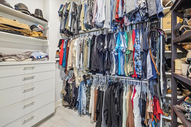 view of walk in closet