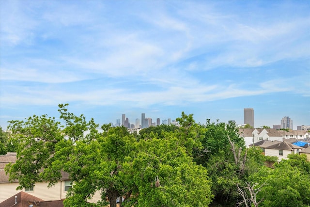 1505 Detering St, Houston, TX 77007 - skyline view