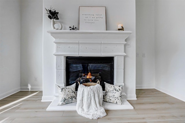 room details with baseboards, wood finished floors, and a glass covered fireplace