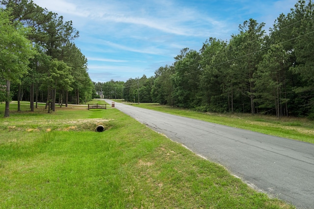 30099 Round Up Dr, Waller, TX 77484