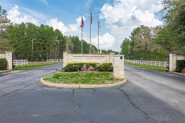 30099 Round Up Dr, Waller, TX 77484