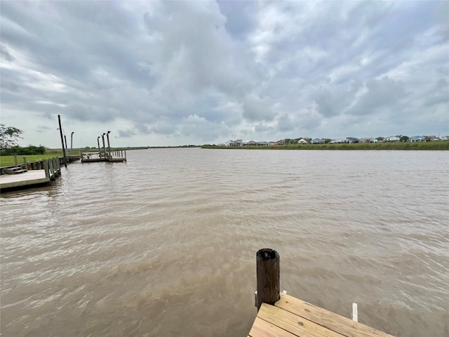 dock area with a water view