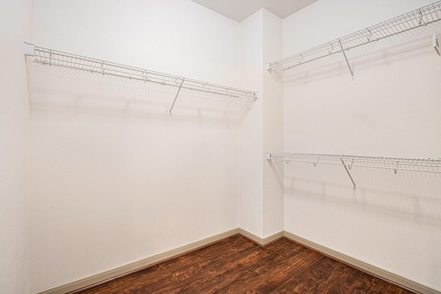 spacious closet with dark wood-style floors