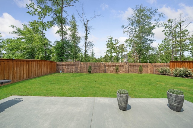 4623 Bridgewood Dr, Spring, TX 77386 - view of yard with a patio