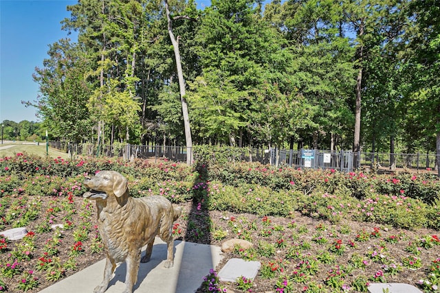 4623 Bridgewood Dr, Spring, TX 77386 - view of yard featuring view of scattered trees