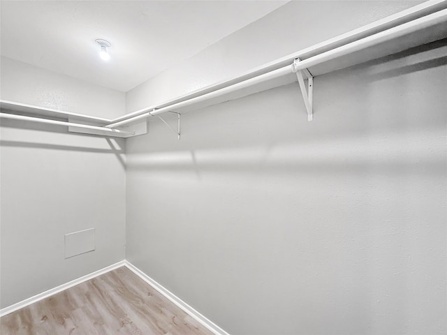 spacious closet with light wood finished floors