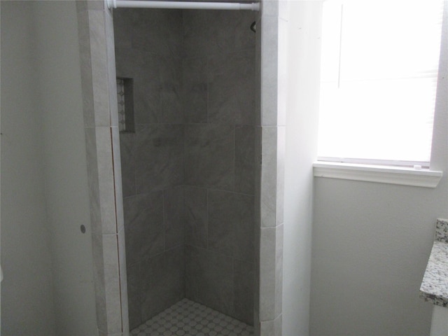 15770 Chimney Rock Rd, Houston, TX 77489 - full bath with a shower stall