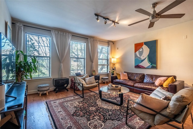 living area with a wood stove, a ceiling fan, a healthy amount of sunlight, and rail lighting