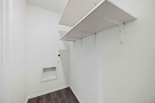 walk in closet with dark wood finished floors