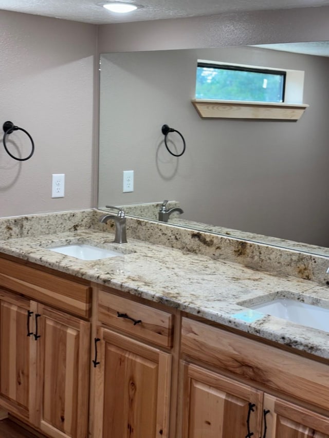 bathroom with double vanity and a sink