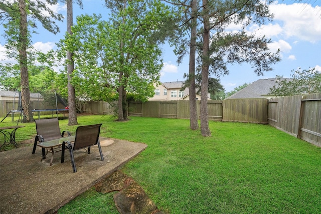 15015 Cozy Hollow Ln, Houston, TX 77044 - view of yard featuring a trampoline
