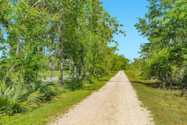 3142 County Road 309, Brazoria, TX 77422 - photo 11