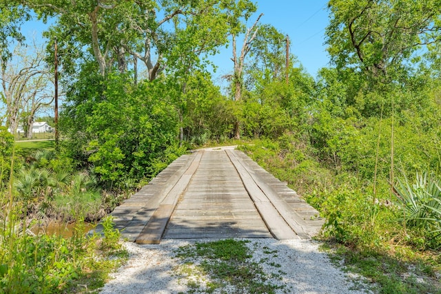 3142 County Road 309, Brazoria, TX 77422 - photo 13