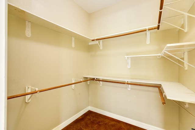 view of walk in closet