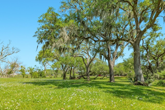 3142 County Road 309, Brazoria, TX 77422 - photo 44