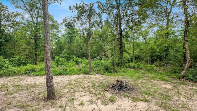 163 Shadywood Dr, Trinity, TX 75862
