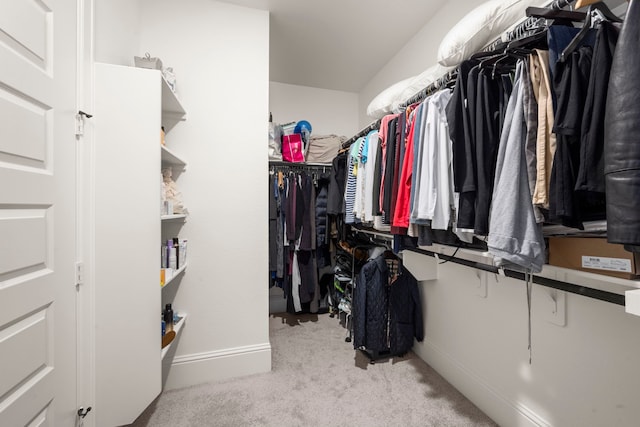1222 Tallow Park Ln, Pinehurst, TX 77362 - walk in closet with carpet floors