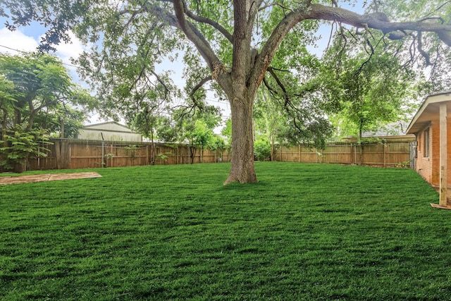 view of yard with a fenced backyard