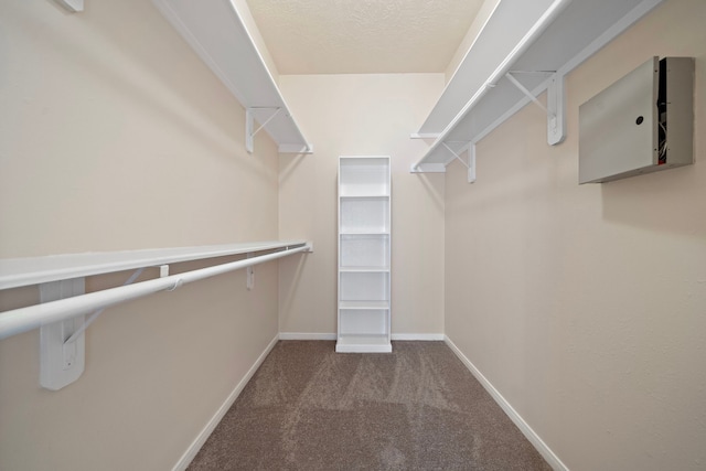 walk in closet with carpet flooring