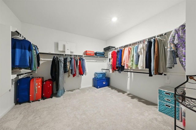 spacious closet with carpet flooring