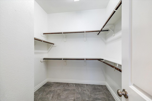 253 Trillium Park Loop, Conroe, TX 77304 - photo 24