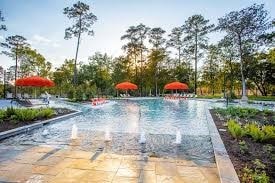 253 Trillium Park Loop, Conroe, TX 77304 - photo 34