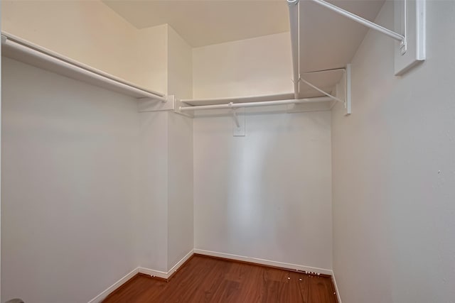 spacious closet featuring wood finished floors