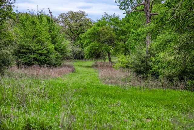 TBD(349.84Acres) County Road 125, Ledbetter, TX 78946