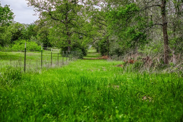 TBD(349.84Acres) County Road 125, Ledbetter, TX 78946