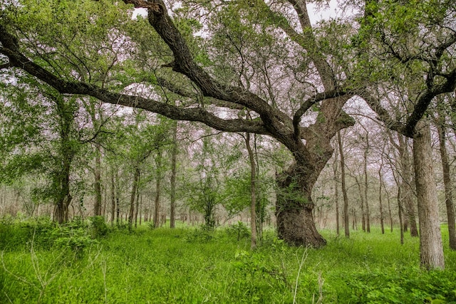 TBD(349.84Acres) County Road 125, Ledbetter, TX 78946