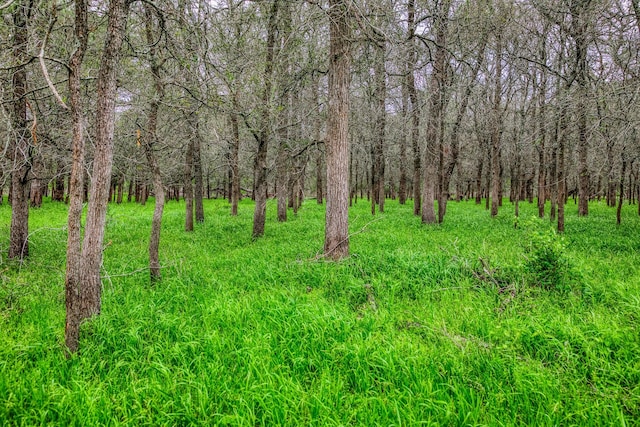 TBD(349.84Acres) County Road 125, Ledbetter, TX 78946