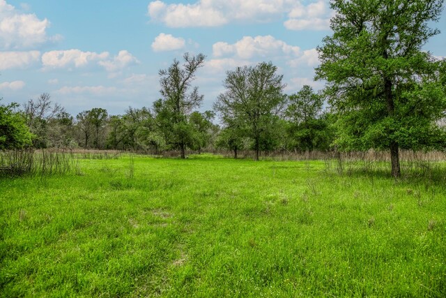 TBD(349.84Acres) County Road 125, Ledbetter, TX 78946