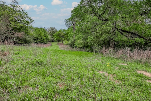 TBD(349.84Acres) County Road 125, Ledbetter, TX 78946