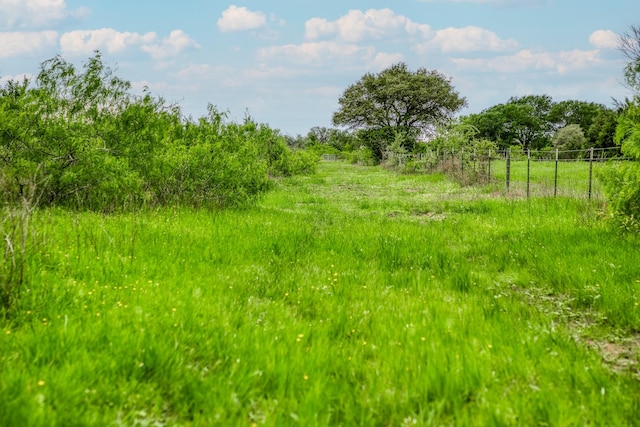 TBD(349.84Acres) County Road 125, Ledbetter, TX 78946