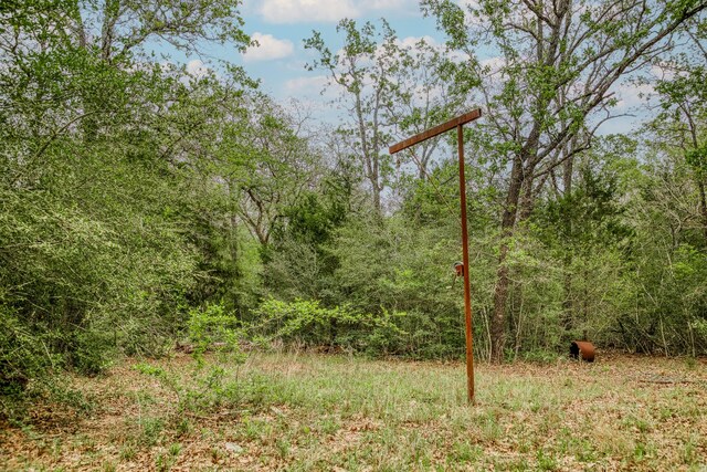 TBD(349.84Acres) County Road 125, Ledbetter, TX 78946