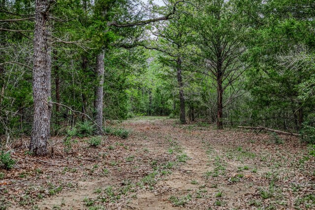 TBD(349.84Acres) County Road 125, Ledbetter, TX 78946