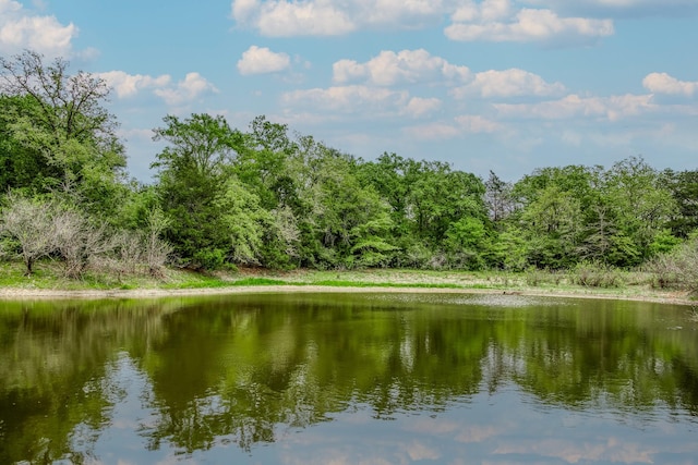 TBD(349.84Acres) County Road 125, Ledbetter, TX 78946