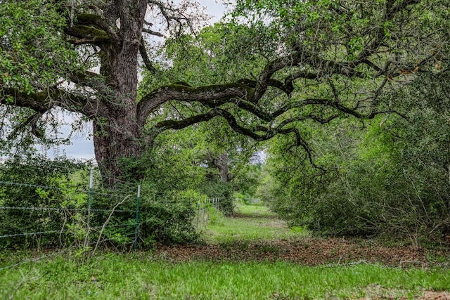 TBD(349.84Acres) County Road 125, Ledbetter, TX 78946