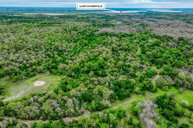 TBD(349.84Acres) County Road 125, Ledbetter, TX 78946