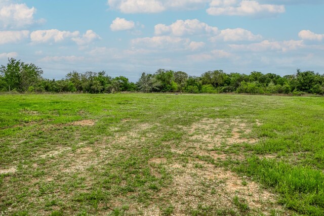 TBD(349.84Acres) County Road 125, Ledbetter, TX 78946