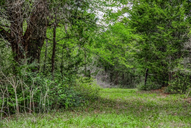 TBD(349.84Acres) County Road 125, Ledbetter, TX 78946