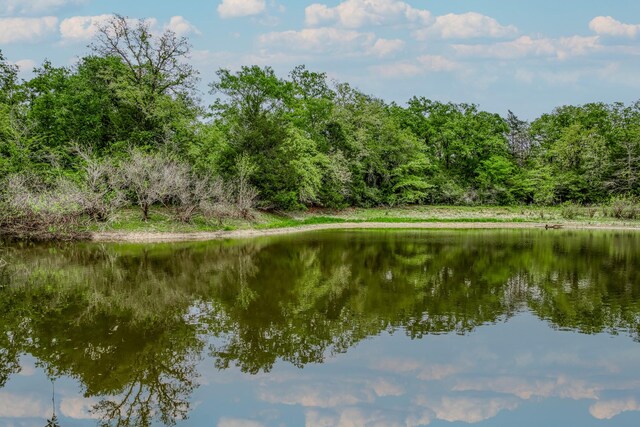TBD(349.84Acres) County Road 125, Ledbetter, TX 78946