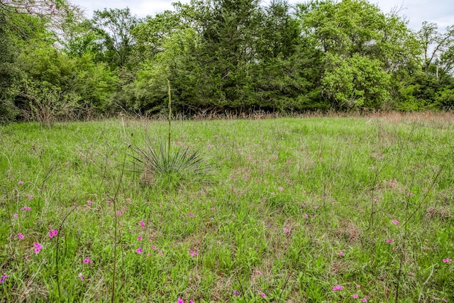 TBD(349.84Acres) County Road 125, Ledbetter, TX 78946