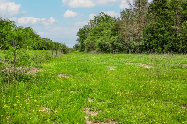 TBD(349.84Acres) County Road 125, Ledbetter, TX 78946