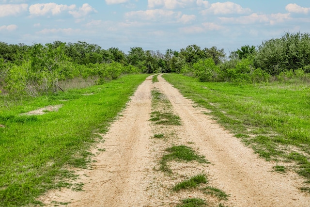 TBD(349.84Acres) County Road 125, Ledbetter, TX 78946