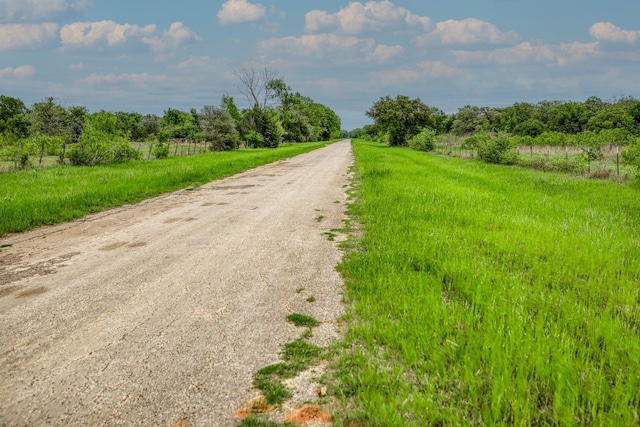 TBD(349.84Acres) County Road 125, Ledbetter, TX 78946