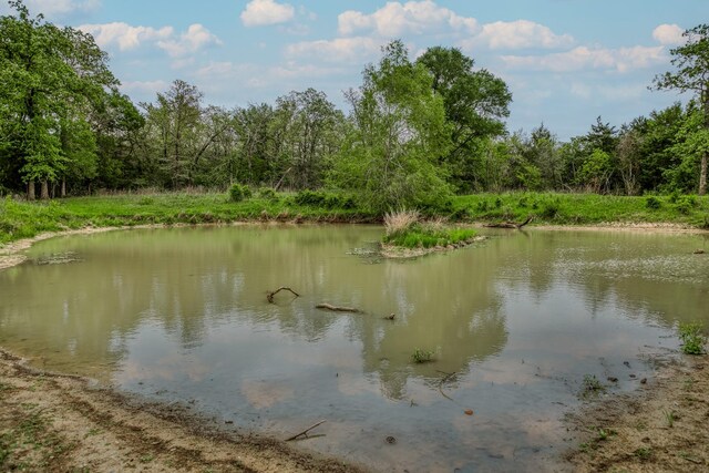 TBD(349.84Acres) County Road 125, Ledbetter, TX 78946